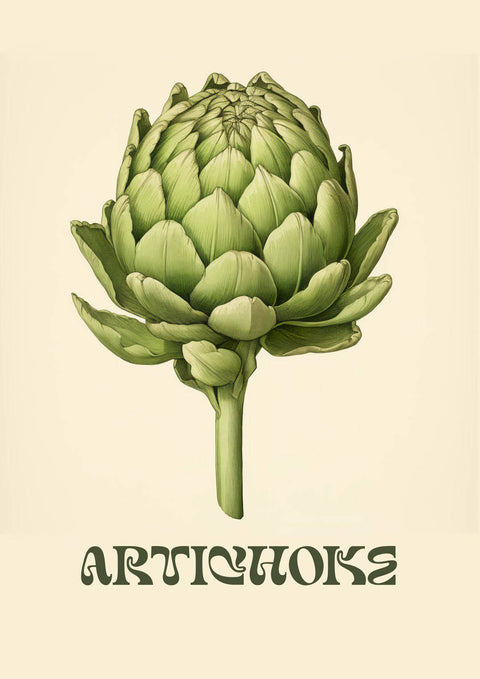 Artichoke Nr.1 - Studio Magnetic