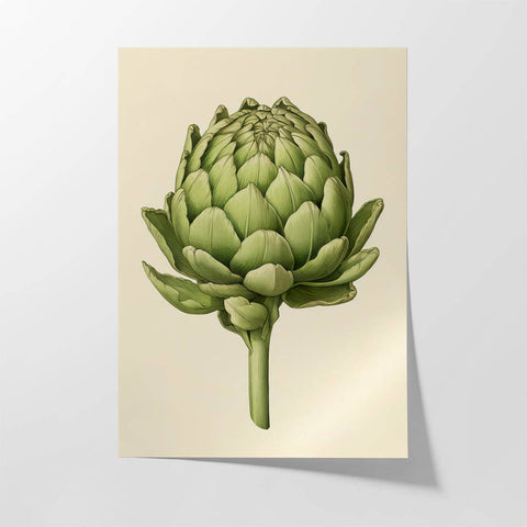 Artichoke Nr.2 - Studio Magnetic