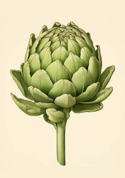Artichoke Nr.2 - Studio Magnetic
