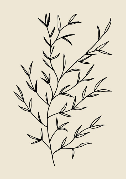 Beneath the Olive - Studio Magnetic