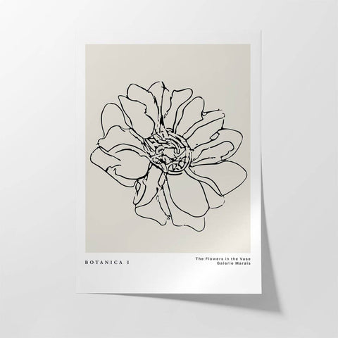 Botanica & Flora No.1 - Studio Magnetic