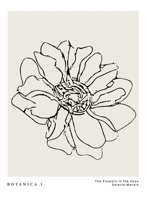Botanica & Flora No.1 - Studio Magnetic