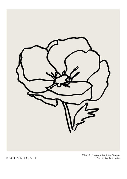 Botanica & Flora No.2 - Studio Magnetic