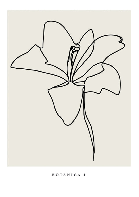 Botanica & Flora No.4 - Studio Magnetic