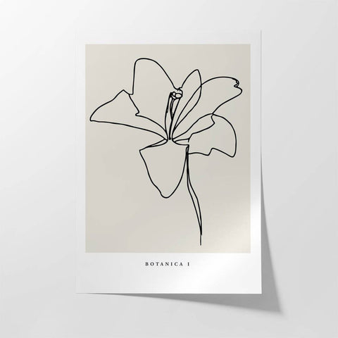 Botanica & Flora No.4 - Studio Magnetic