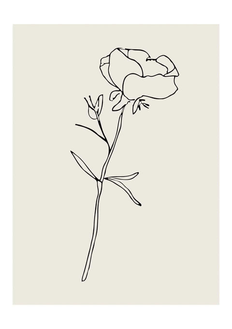 Botanica & Flora No.5 - Studio Magnetic