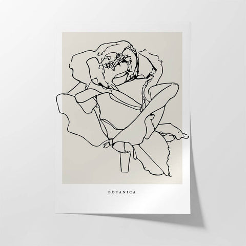 Botanica & Flora No.6 - Studio Magnetic