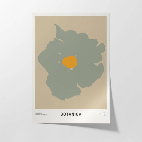Botanica ii - Studio Magnetic