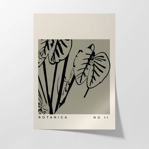 Botanica No.1 - Studio Magnetic