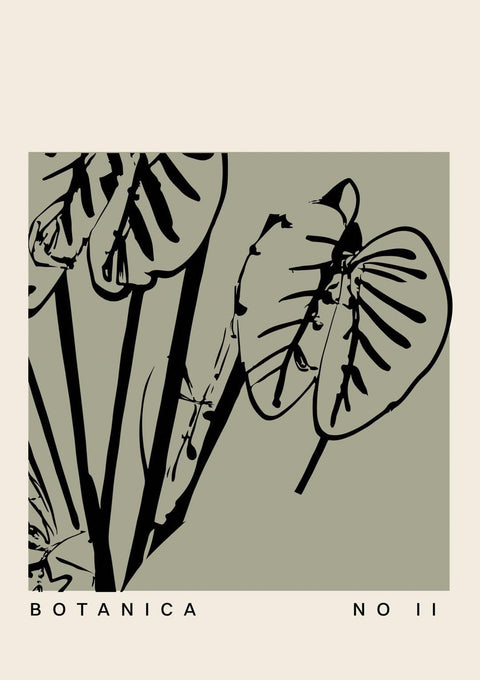 Botanica No.1 - Studio Magnetic