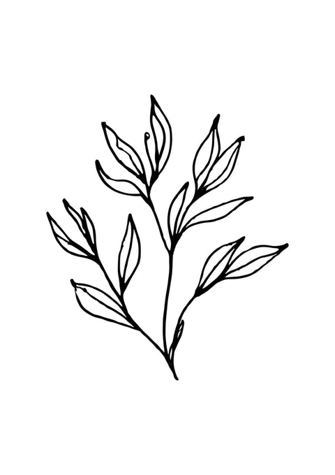 Branching out - Studio Magnetic