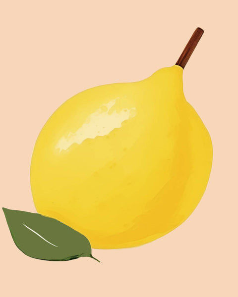 Citron Nr.1 - Studio Magnetic