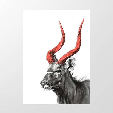 Colourful Horns Nyala Red - Studio Magnetic