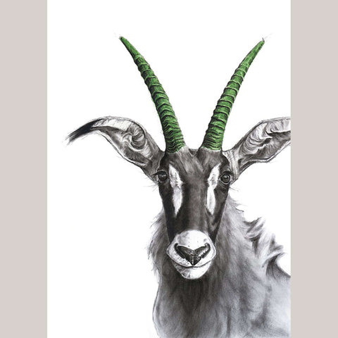 Colourful Horns Roan Green - Studio Magnetic