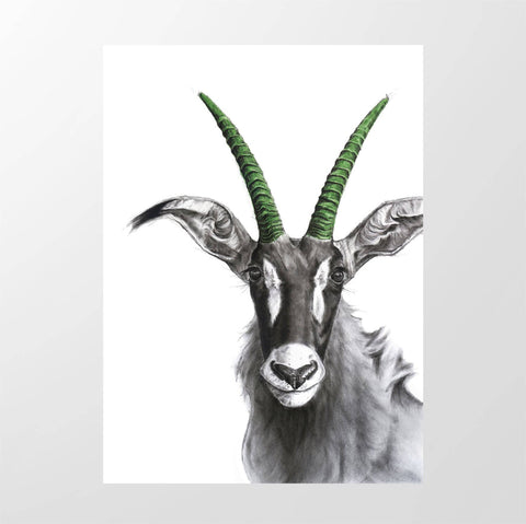 Colourful Horns Roan Green - Studio Magnetic