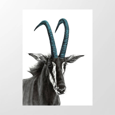 Colourful Horns Sable Green - Studio Magnetic