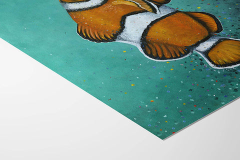 Coral Fish - Studio Magnetic