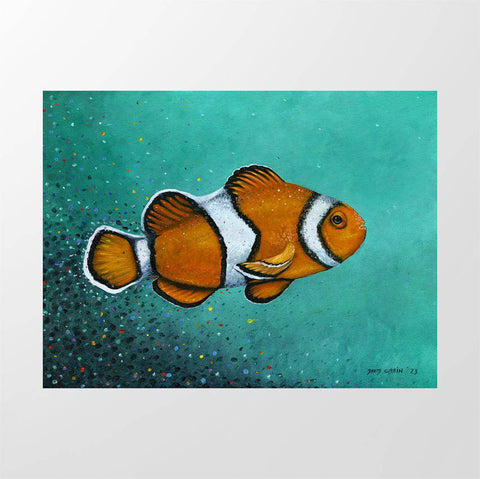 Coral Fish - Studio Magnetic