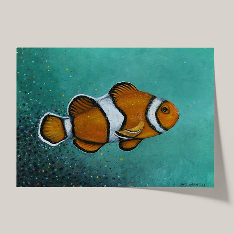 Coral Fish - Studio Magnetic