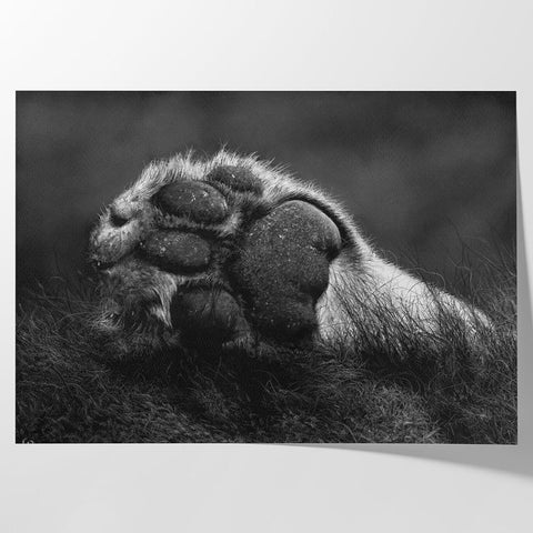 Custom Prints - Studio Magnetic