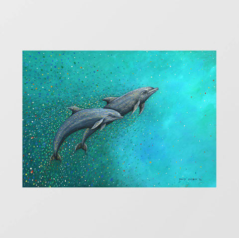 Dolphins - Studio Magnetic