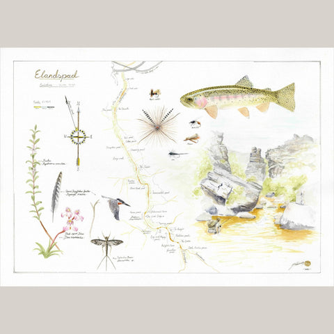 Elandspad Map - Studio Magnetic