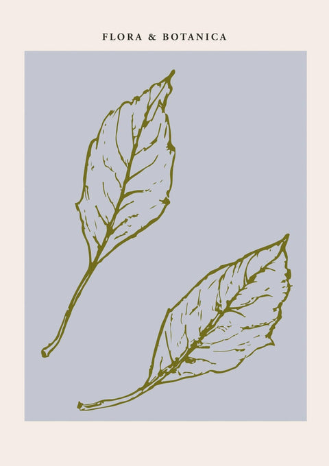 Flora Botanica No 6 - Studio Magnetic