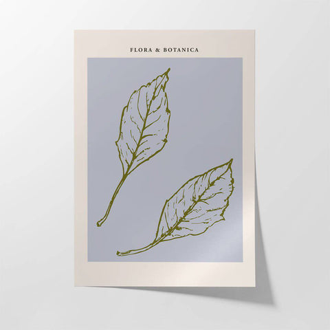 Flora Botanica No 6 - Studio Magnetic