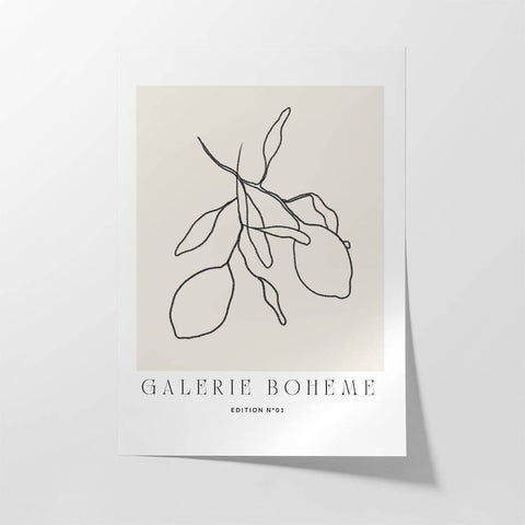 Flora Neutrals - Studio Magnetic