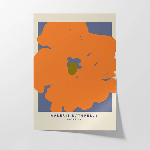 Galerie Botanica i - Studio Magnetic