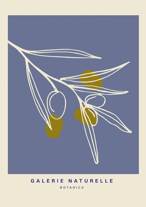 Galerie Botanica ii - Studio Magnetic