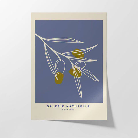 Galerie Botanica ii - Studio Magnetic
