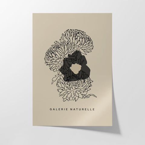 Galerie Naturelle ii - Studio Magnetic