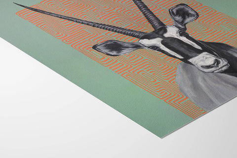 Gemsbok Patterns - Studio Magnetic