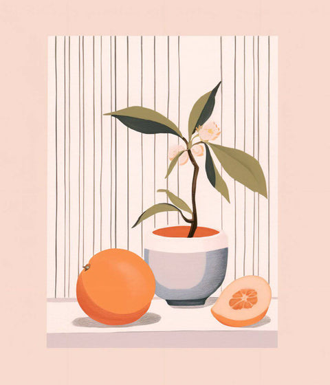 Grape Fruit - Studio Magnetic