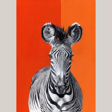 Grevy's Zebra - Studio Magnetic