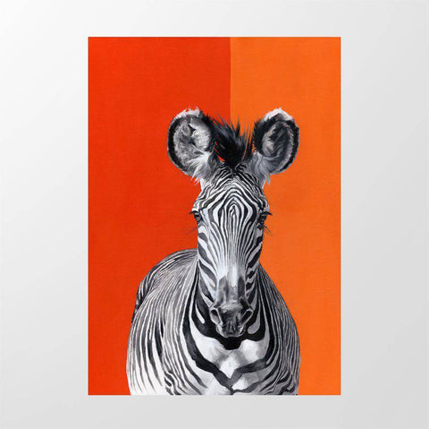 Grevy's Zebra - Studio Magnetic