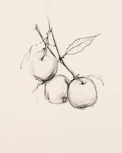 Homegrown Fruit No.1 - Studio Magnetic