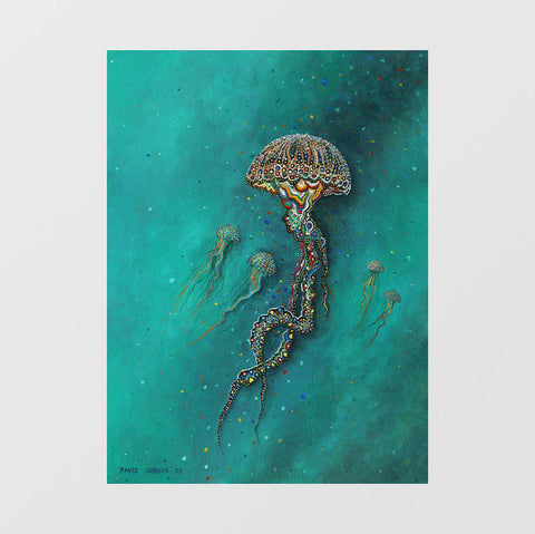 Jellyfish - Studio Magnetic