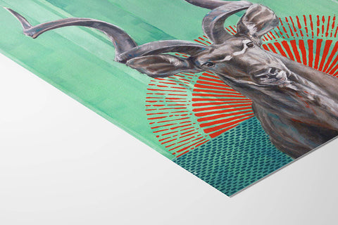 Kudu - Studio Magnetic