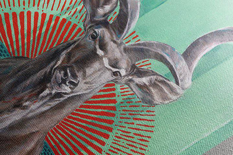 Kudu - Studio Magnetic
