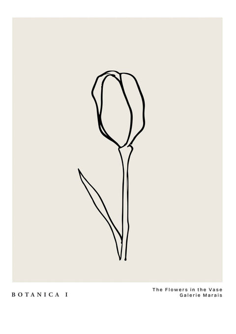 Le Botanica No1 - Studio Magnetic