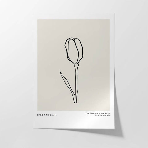 Le Botanica No1 - Studio Magnetic