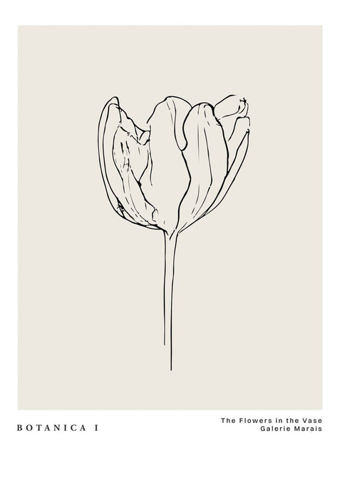 Le Botanica No2 - Studio Magnetic
