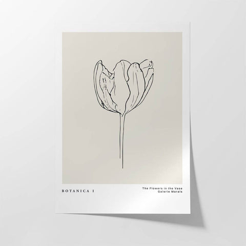 Le Botanica No2 - Studio Magnetic