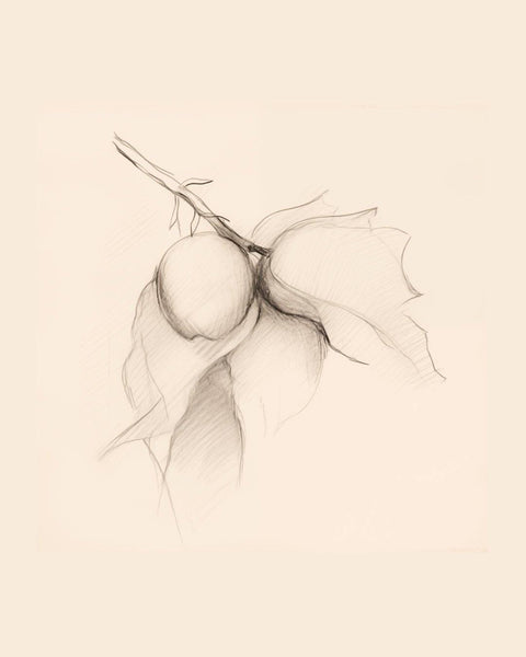 Les Etudies D'Art No.2 - Studio Magnetic