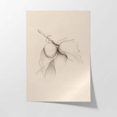 Les Etudies D'Art No.2 - Studio Magnetic