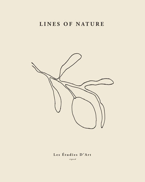 Lines of Nature - Studio Magnetic