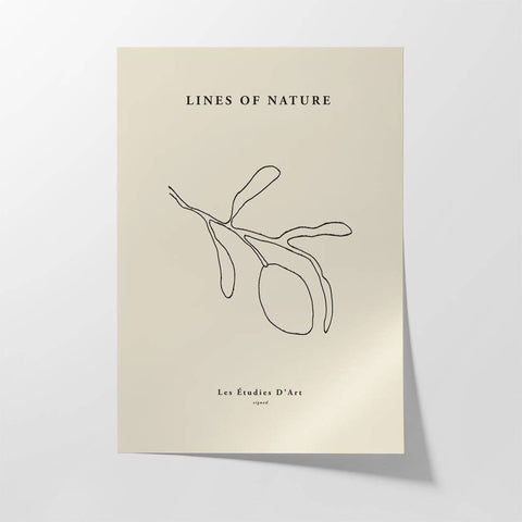 Lines of Nature - Studio Magnetic