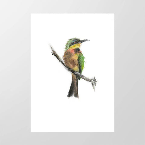 Little Bee - eater - Studio Magnetic